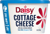 Daisy Cottage Cheese